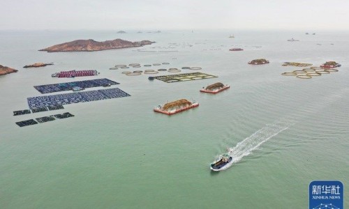 红虾米炒什么好吃又营养价值-红虾米炒什么好吃又营养网—知名的红虾米炒蛋怎么做网站,分享红虾米的功效与作用知识