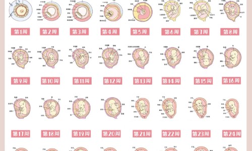 红虾米炒什么好吃又营养网—知名的红虾米炒蛋怎么做网站,分享红虾米的功效与作用知识